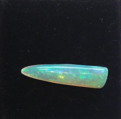Belemnite necklace book and study detail